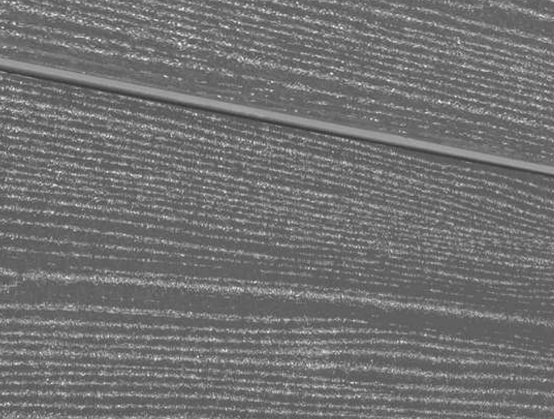 Террасная доска из ДПК Savewood Padus радиальный распил пепельный